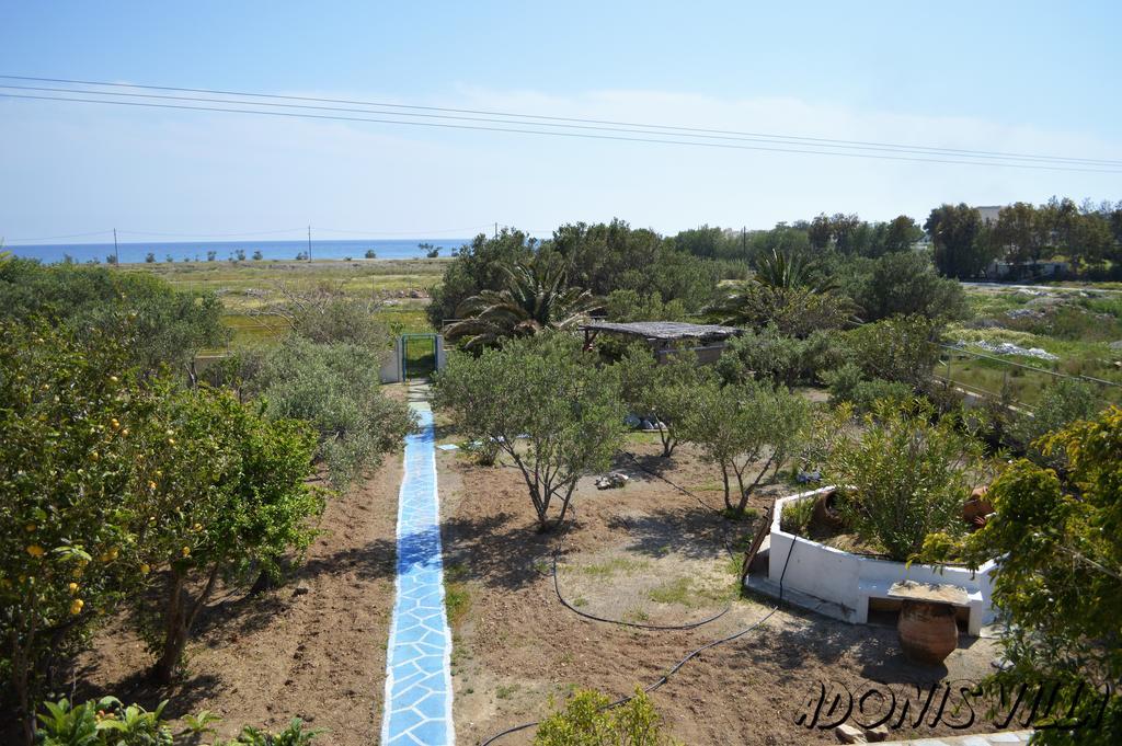 Adonis Villa Koutsounari Exterior foto